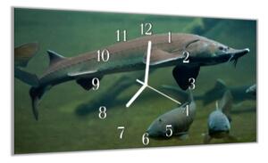 Nástenné hodiny 30x60cm ryba jeseter - plexi