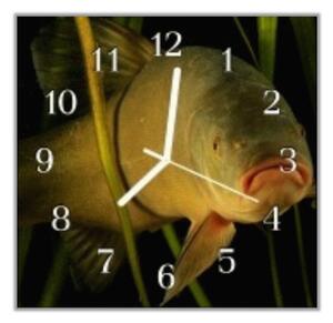 Nástenné hodiny 30x30cm ryba lín - plexi
