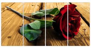 Ležiaci ruža - obraz (Obraz 160x80cm)