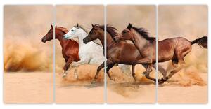 Obraz kôň (Obraz 160x80cm)