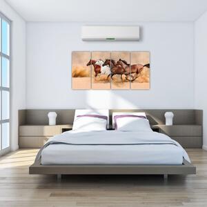 Obraz kôň (Obraz 160x80cm)