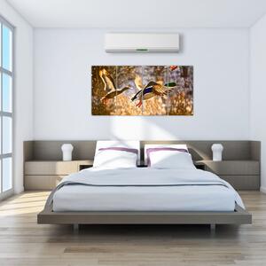 Letiaci kačice - obraz (Obraz 160x80cm)