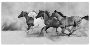 Obraz cválajúci koňov (Obraz 160x80cm)