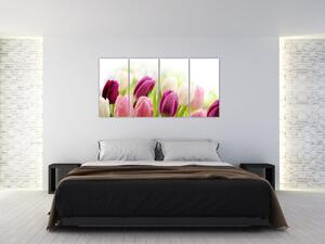 Tulipány, maľby (Obraz 160x80cm)