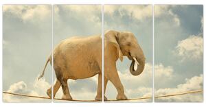 Slon na lane, obraz (Obraz 160x80cm)