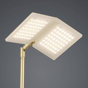 BANKAMP Book stojaca LED lampa, mosadz