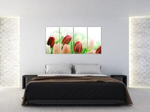 Tulipány, obraz (Obraz 160x80cm)