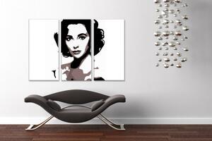 Ručne maľovaný POP Art obraz Elizabeth Taylor (POP ART obrazy)