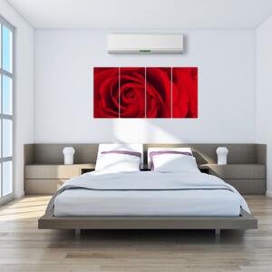 Detail červené ruže - obraz (Obraz 160x80cm)
