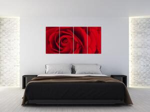 Detail červené ruže - obraz (Obraz 160x80cm)