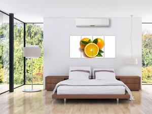 Pomaranče - obraz (Obraz 160x80cm)