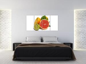 Citrusové plody - obraz (Obraz 160x80cm)