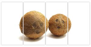 Kokosový orech, obraz (Obraz 160x80cm)