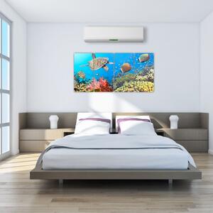 Podmorský svet, obraz (Obraz 160x80cm)