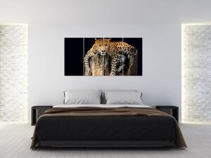 Leopard, obraz (Obraz 160x80cm)