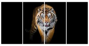 Tiger, obraz (Obraz 160x80cm)