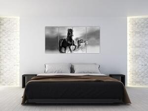 Čiernobiely obraz koňov (Obraz 160x80cm)