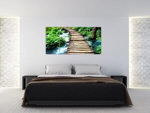 Obraz lávky cez rieku (Obraz 160x80cm)