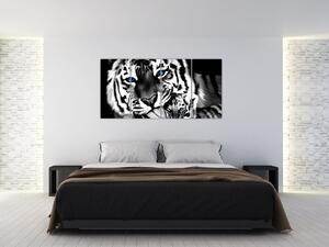 Tiger s mláďaťom, obraz (Obraz 160x80cm)