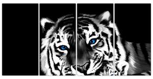 Obraz tigra s mláďaťom (Obraz 160x80cm)