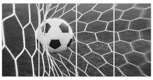 Futbalová lopta v sieti - obraz (Obraz 160x80cm)
