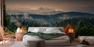 Tapety Strom a sila, Fototapety s lesom, Fototapety hmla, u72174 : Uwalls.sk