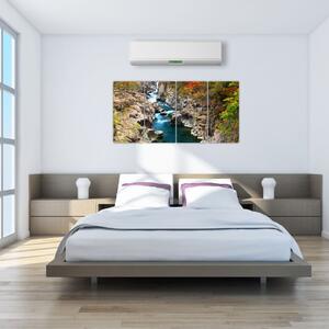 Prúdiaca rieka - obraz (Obraz 160x80cm)