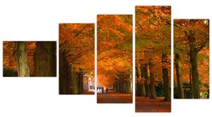 Obraz cesty lesom na jeseň (Obraz 110x60cm)