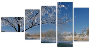 Obraz zamrznuté zimnej krajiny (Obraz 110x60cm)