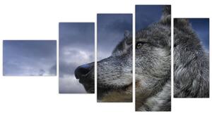 Obraz vlka (Obraz 110x60cm)