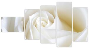 Obraz biele ruže (Obraz 110x60cm)