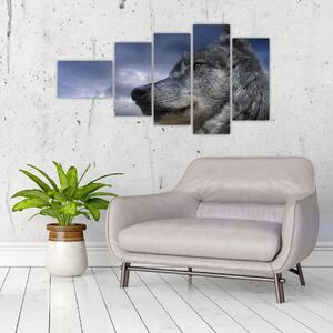 Obraz vlka (Obraz 110x60cm)