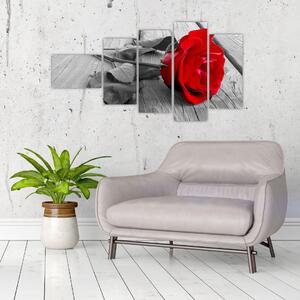 Obraz ruže s červeným kvetom (Obraz 110x60cm)