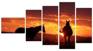 Obraz - kone pri západe slnka (Obraz 110x60cm)