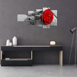 Obraz ruže s červeným kvetom (Obraz 110x60cm)