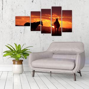 Obraz - kone pri západe slnka (Obraz 110x60cm)