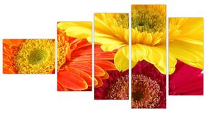 Obraz kvetov (Obraz 110x60cm)