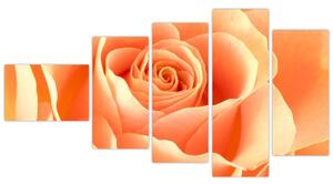 Obraz oranžové ruže (Obraz 110x60cm)