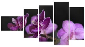 Obraz kvetov (Obraz 110x60cm)