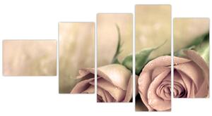Obraz na stenu - ruže (Obraz 110x60cm)