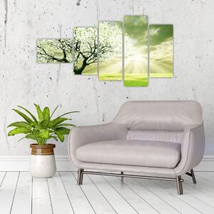 Jarný strom - moderný obraz (Obraz 110x60cm)
