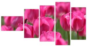 Obraz tulipánov (Obraz 110x60cm)