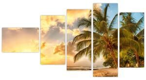 Obraz palmy na piesočnatej pláži (Obraz 110x60cm)