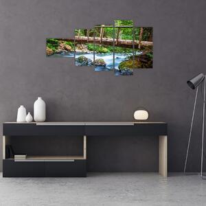 Obraz do bytu - horský potok (Obraz 110x60cm)