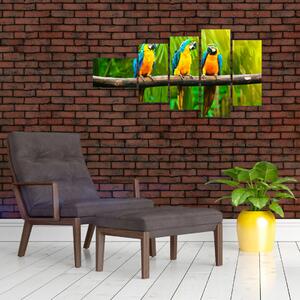 Moderný obraz - papagáje (Obraz 110x60cm)