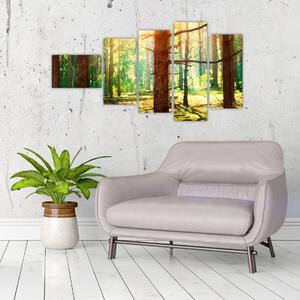 Moderný obraz - les (Obraz 110x60cm)