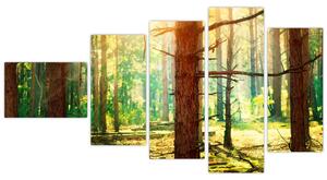 Moderný obraz - les (Obraz 110x60cm)