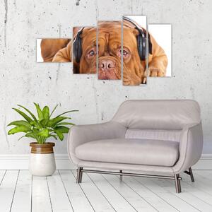 Moderný obraz - pes so slúchadlami (Obraz 110x60cm)
