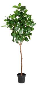 Livarno home Umelá rastlina magnólia, 190 cm (100356784)