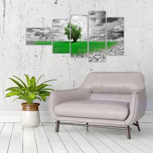 Zelený ostrov vo vyprahnutej krajine - obrazy do obývačky (Obraz 110x60cm)